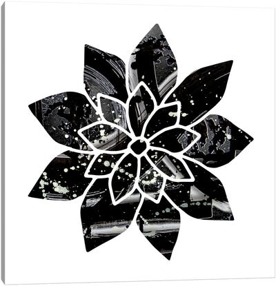 Black And White Flower Canvas Art Print - Fred Odle