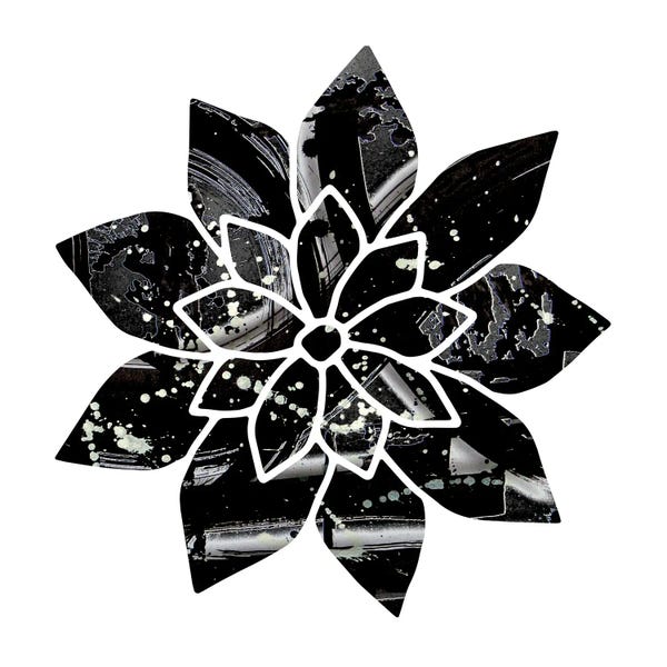 Fred Odle: Black And White Flower by Fred Odle