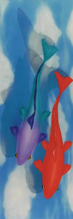 Koi