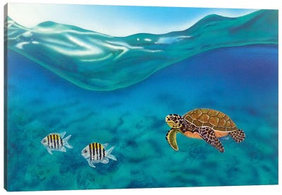 Above And Below Canvas Art Print - Turtle Art