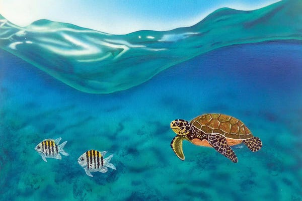 Fred Odle: Above And Below by Fred Odle