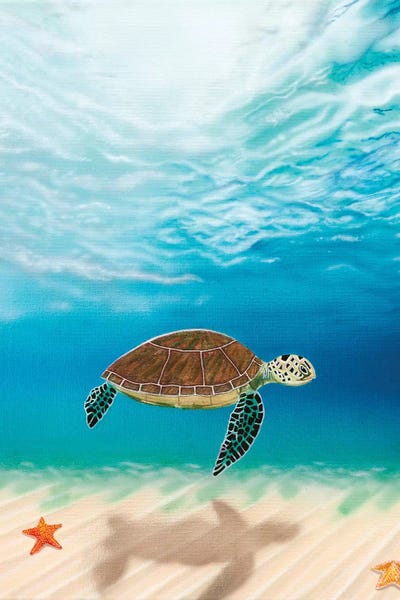 Trails by Fred Odle metal wall art