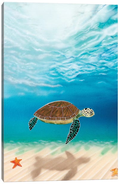 Trails Canvas Art Print - Turtle Art