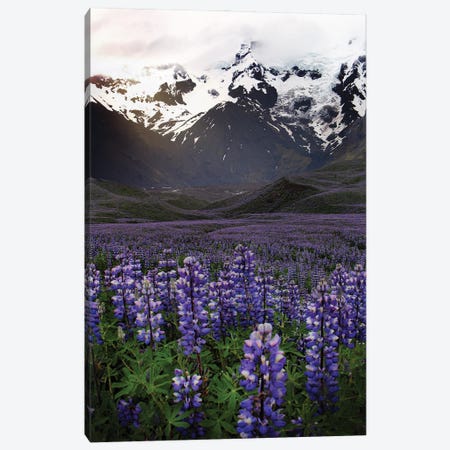 On The Road In Iceland Canvas Print #FOL13} by Florian Olbrechts Canvas Artwork