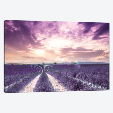 The Wonder Of Lavender Fields In South Of France, Valensole Canvas Print #FOL23} by Florian Olbrechts Art Print