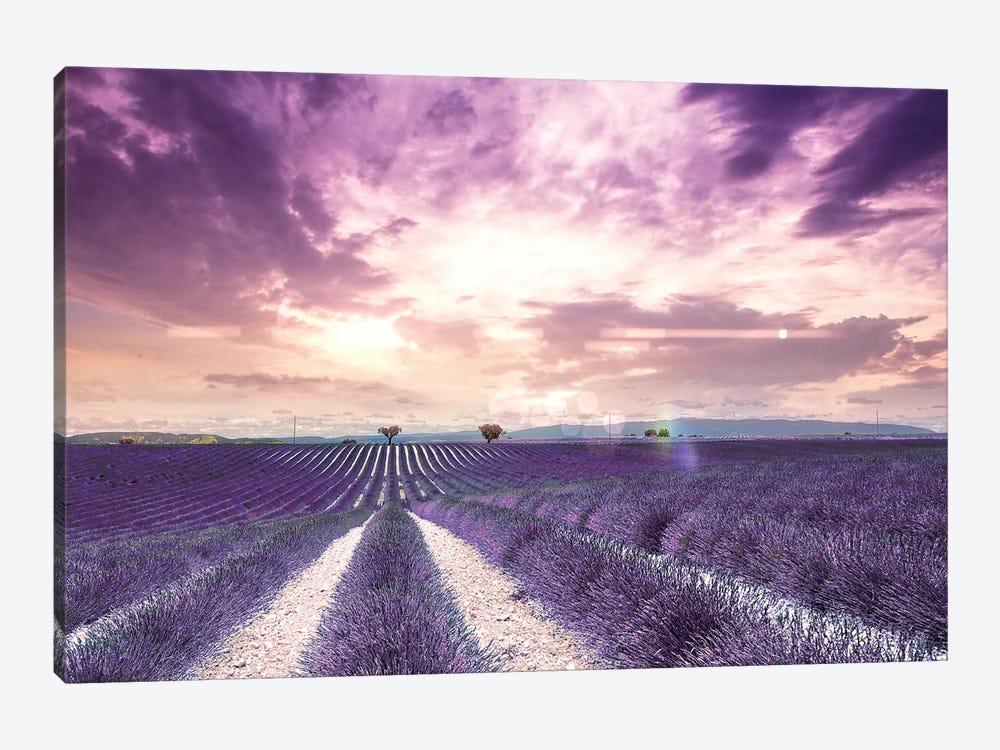 The Wonder Of Lavender Fields In South Of France, Valensole by Florian Olbrechts 1-piece Canvas Art