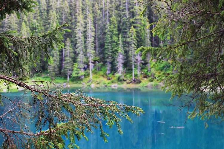 Unexpected Focus, Lake Carezza, Italy