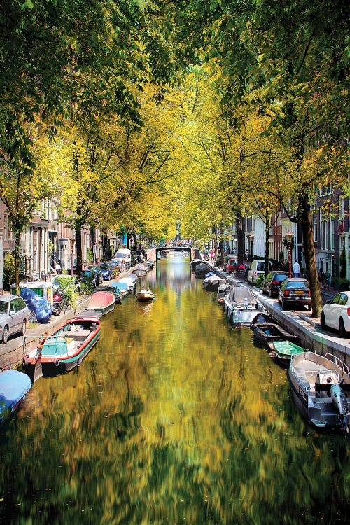 Weight Anchor In A Tree Tunnel, Amsterdam