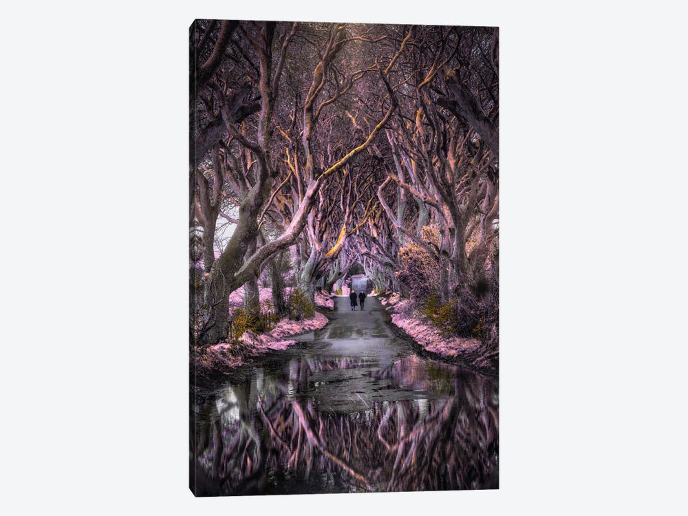 Dark Hedges by Florian Olbrechts 1-piece Canvas Print