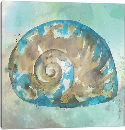 Sand II Canvas Art Print - Sea Shell Art