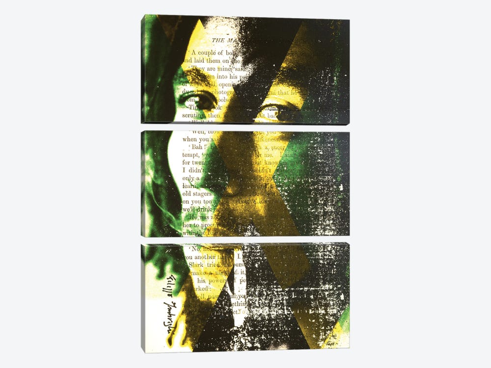 Bob Marley III by Filippo Imbrighi 3-piece Canvas Art