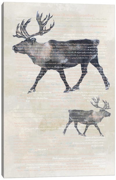 Animal Art - Reindeers Canvas Art Print - Reindeer Art