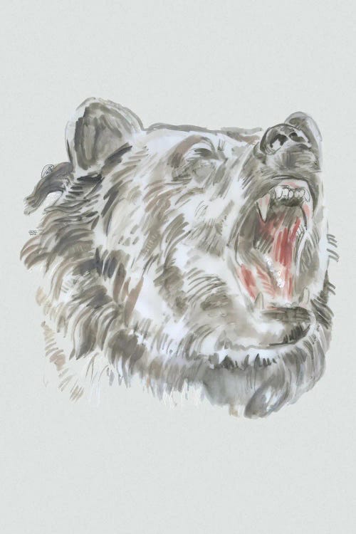 Bear Roaring II by Fanitsa Petrou wall art