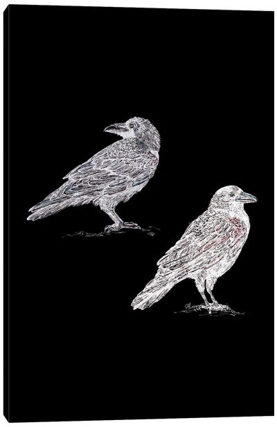Two Crows In Black And White Canvas Art Print - Crow Art