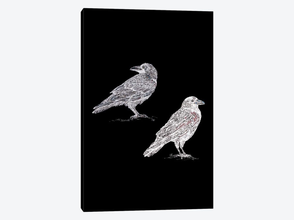 Two Crows In Black And White by Fanitsa Petrou 1-piece Art Print