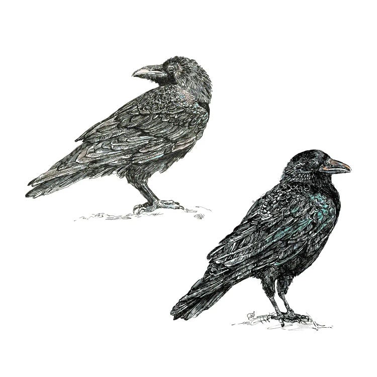 Crows by Fanitsa Petrou wall art