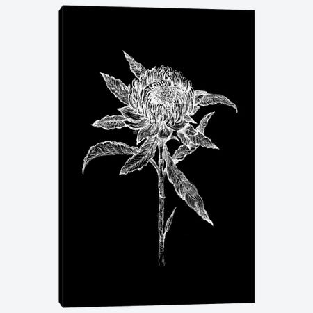 Flower Drawing In Black And White Canvas Print #FPT141} by Fanitsa Petrou Canvas Print
