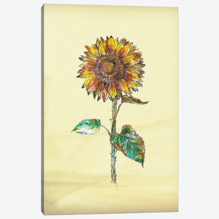 Sunflower I Canvas Print #FPT219} by Fanitsa Petrou Canvas Print