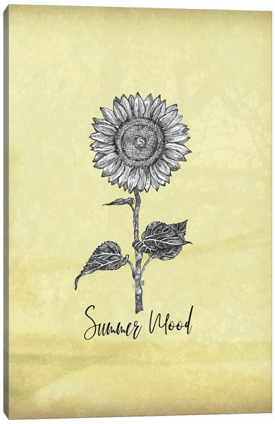 Sunflower II Canvas Art Print - Botanical Illustrations