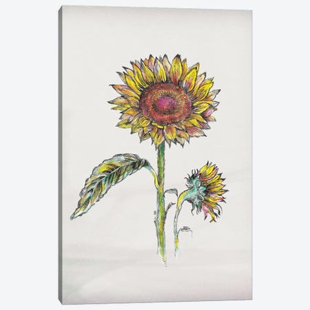 Sunflower III Canvas Print #FPT221} by Fanitsa Petrou Canvas Art