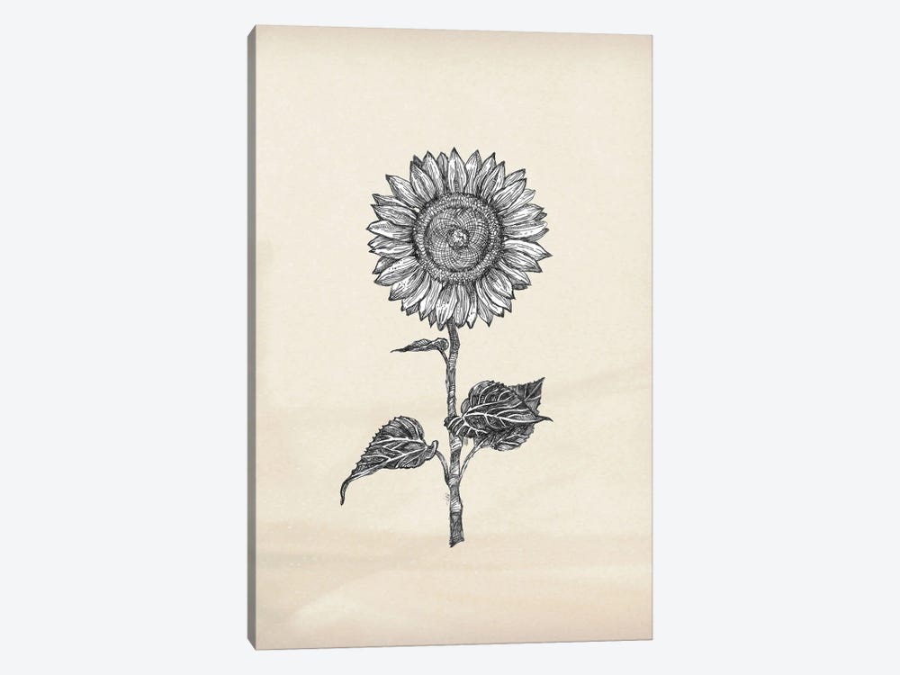 Sunflower - 4 by Fanitsa Petrou 1-piece Art Print