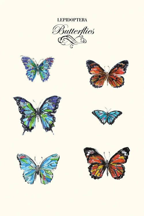 Butterflies by Fanitsa Petrou wall art