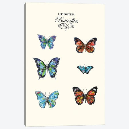 Butterflies Canvas Print #FPT227} by Fanitsa Petrou Canvas Art Print