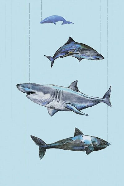 Four Sharks by Fanitsa Petrou canvas print