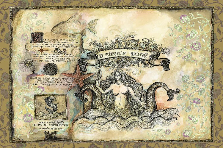 A Mermaid Spell II by Fanitsa Petrou wall art