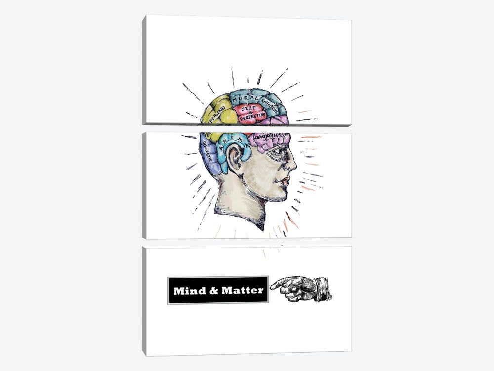 Mind And Matter - Phrenology Head by Fanitsa Petrou 3-piece Canvas Wall Art