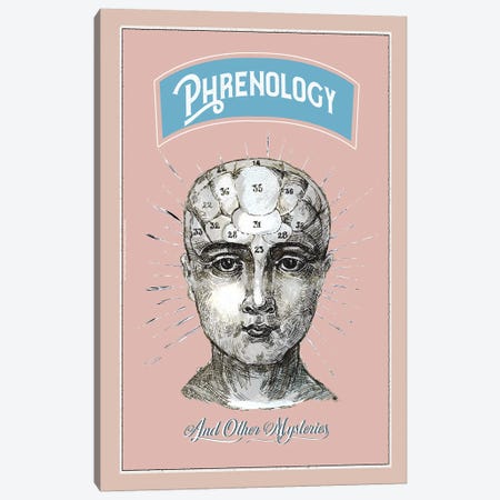 Phrenology And Other Mysteries Canvas Print #FPT446} by Fanitsa Petrou Canvas Print
