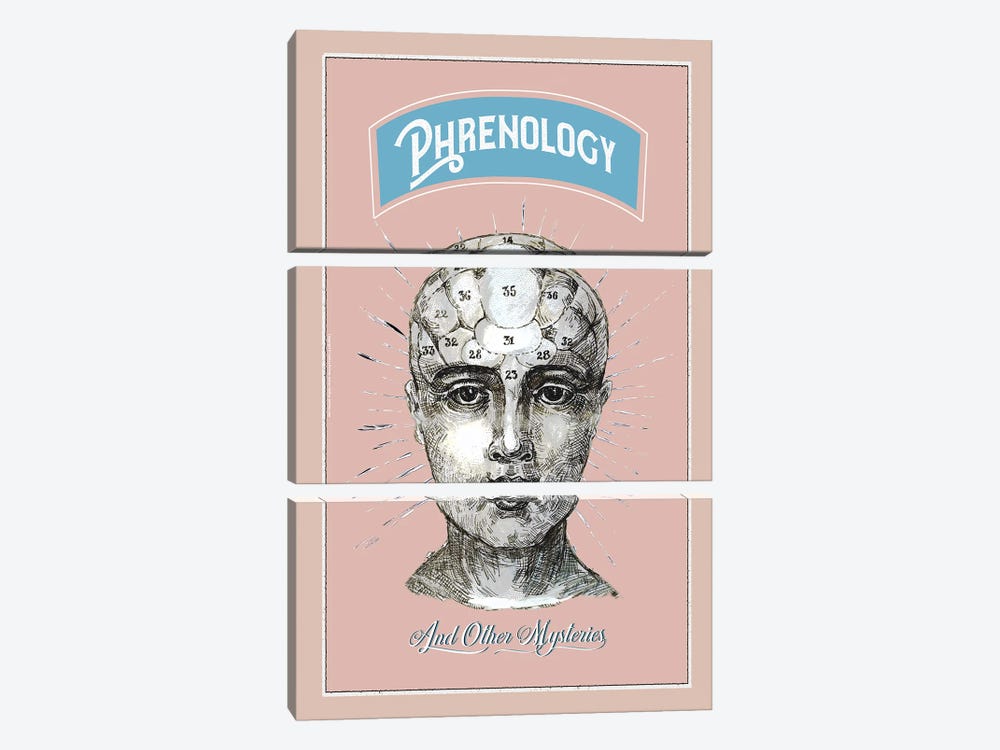 Phrenology And Other Mysteries by Fanitsa Petrou 3-piece Canvas Print