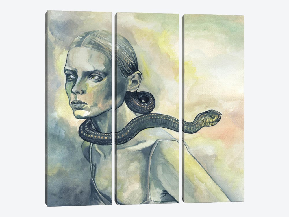 Snake Eyes by Fanitsa Petrou 3-piece Canvas Art Print