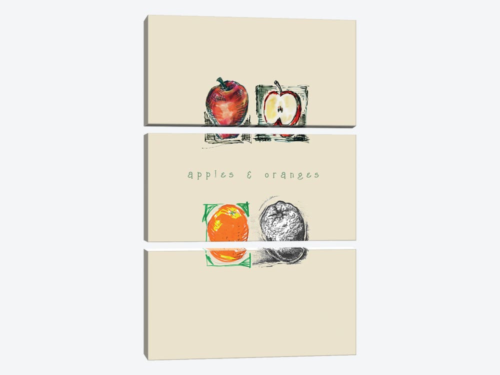Apples And Oranges by Fanitsa Petrou 3-piece Canvas Art Print