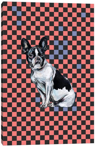 French Bulldog Canvas Art Print - Fanitsa Petrou