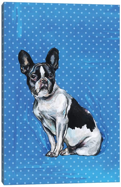 French Bulldog - Blue And White Polka Dots Canvas Art Print - Polka Dot Patterns