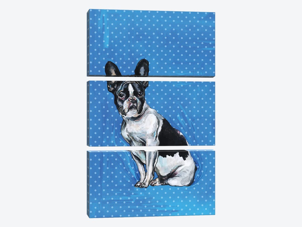 French Bulldog - Blue And White Polka Dots by Fanitsa Petrou 3-piece Canvas Artwork