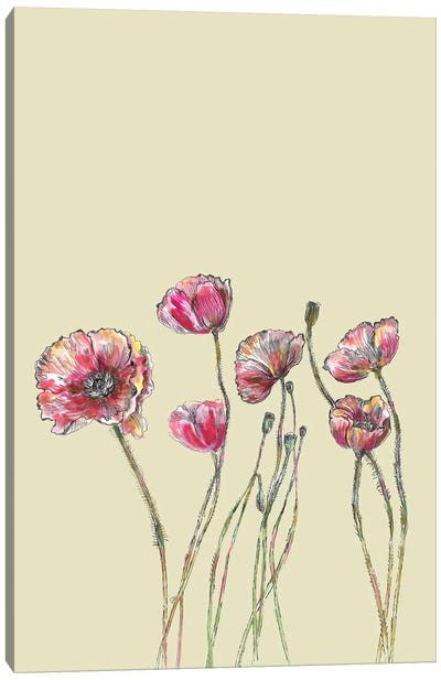 Poppy Flowers I Canvas Art Print - Fanitsa Petrou