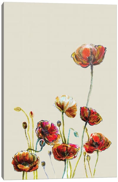 Poppy Flower II Canvas Art Print - Fanitsa Petrou