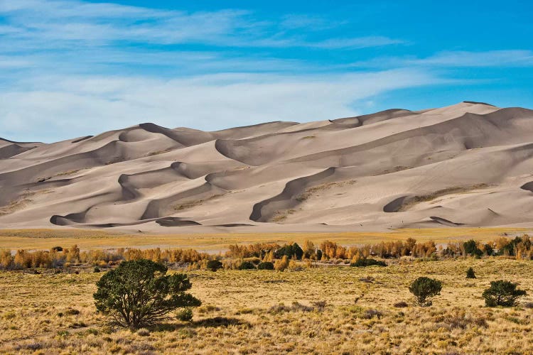 USA, Colorado, Alamosa, Great Sand Dunes National Park and Preserve I