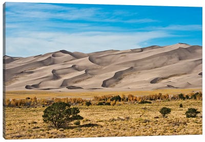 USA, Colorado, Alamosa, Great Sand Dunes National Park and Preserve I Canvas Art Print