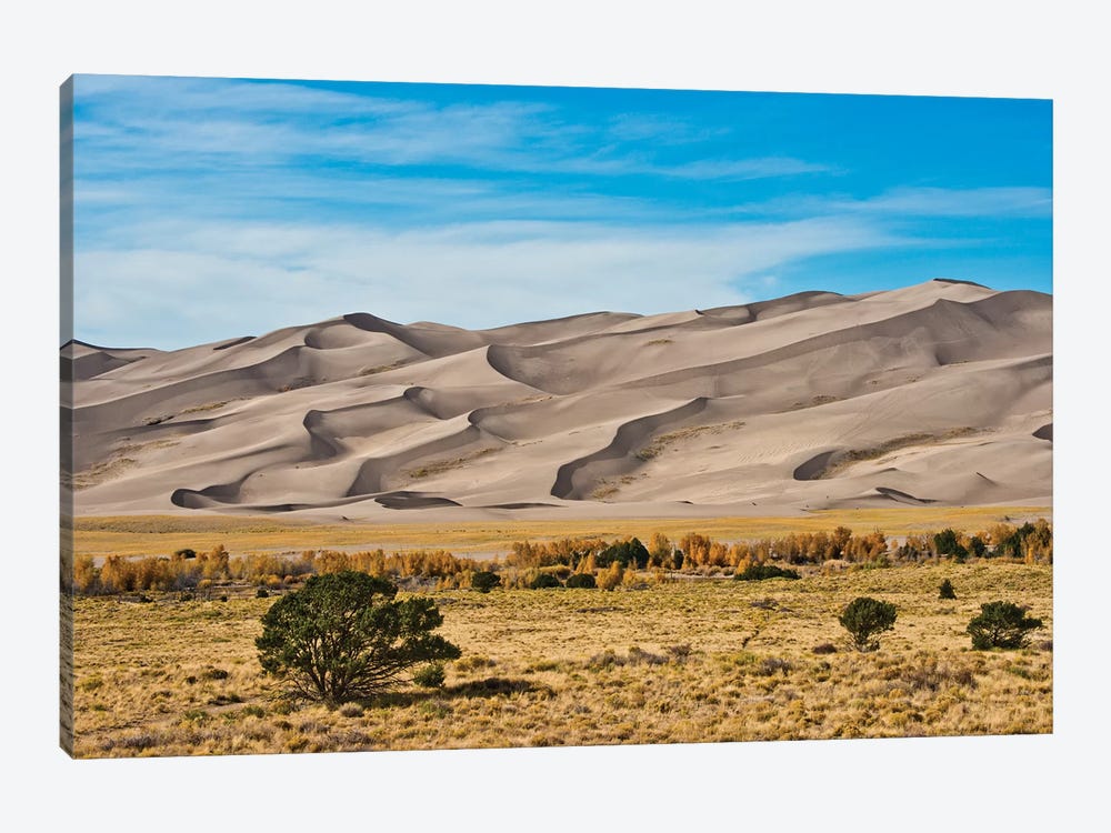 USA, Colorado, Alamosa, Great Sand Dunes National Park and Preserve I by Bernard Friel 1-piece Canvas Print