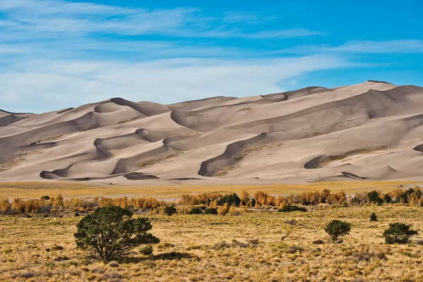 Colorado: USA, Colorado, Alamosa, Great Sand Dunes National Park and Preserve I by Bernard Friel