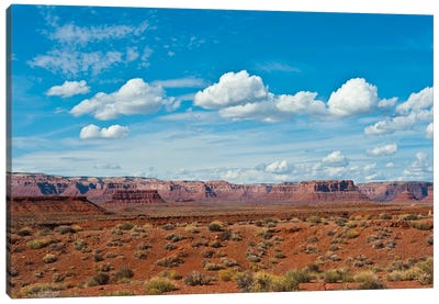 USA, Utah, Bluff, Valley of The Gods, Panorama, Bears Ears National Monument Canvas Art Print - Utah Art
