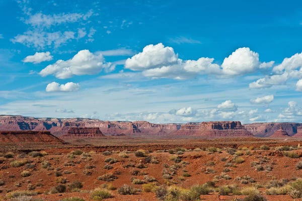 Valleys: USA, Utah, Bluff, Valley of The Gods, Panorama, Bears Ears National Monument by Bernard Friel