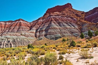 USA, Utah, Paria. View along trail to ghost town by Bernard Friel art print
