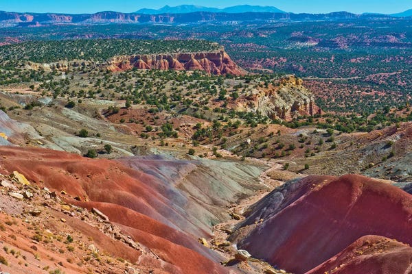 Dingley Green: USA, Utah. Boulder, Burr Trail Road, Stud Horse Point by Bernard Friel