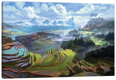 Rice Terreces Canvas Art Print