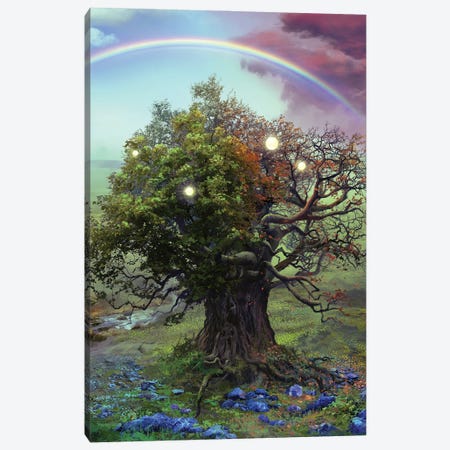 The Fate Of The Bearer Canvas Print #FRL25} by Ferdinand Ladera Canvas Artwork