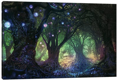 Forest Wisp Canvas Art Print - Ferdinand Ladera